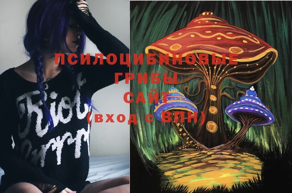 прущий лед Вяземский