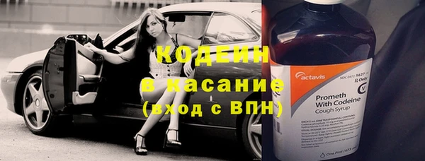 прущий лед Вяземский
