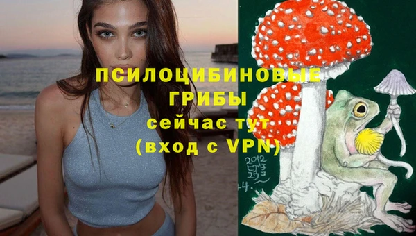 герыч Вязьма